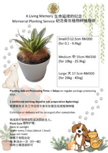 Only Ash Scatter / Planting Service 仅骨灰撒海/种植