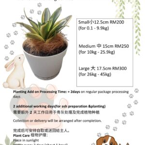 Only Ash Scatter / Planting Service 仅骨灰撒海/种植